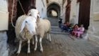 سنن النبي في أول أيام عيد الأضحى
