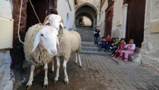 سنن النبي في أول أيام عيد الأضحى
