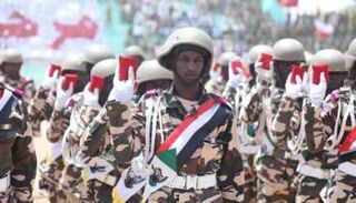 جانب من قوات حماية المدنيين بدارفور