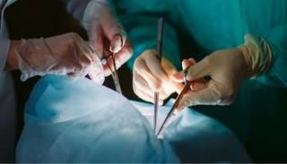 زراعة الأعضاء البشرية - صورة أرشيفية