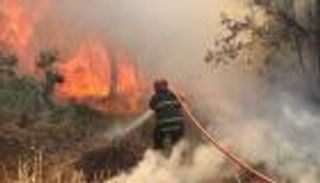 "عقب سيجارة".. الأمن العراقي يكشف أسرار حريق غابات الموصل