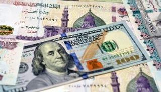 استقرار سعر الدولار اليوم في مصر