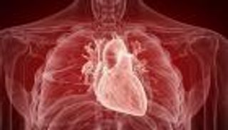 مجددا.. قلب خنزير ينبض داخل صدر إنسان