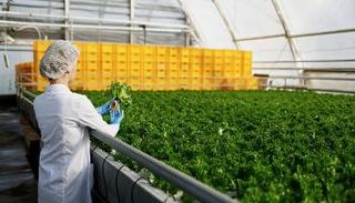 تعزيز التعاون بين دولة الإمارات والهند 