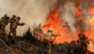 مصرع مغربي في حرائق غابات مدينة العرائش
