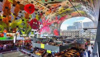 السياحة في روتردام…أفضل الأماكن وتكاليف السياحة بها.