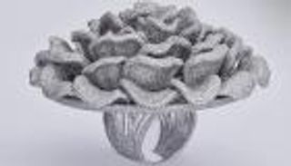 بـ24 ألف ماسة.. خاتم الخلود يدخل موسوعة جينيس