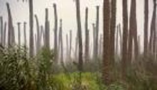 بعد 40 عاما على "المقبرة".. العراق يتأهب لاستعادة ثروته و"رمز شموخه"