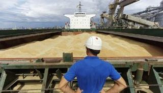 العين الإخبارية