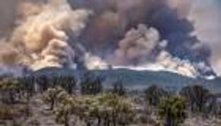 لليوم الخامس.. المغرب يواصل جهوده لإخماد حرائق الغابات