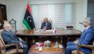 مصر تجدد دعمها لحل الأزمة الليبية "سلميًا"