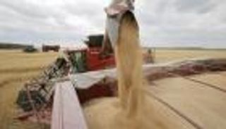 بوتين يرهن تسهيل تصدير الحبوب الأوكرانية بشرط