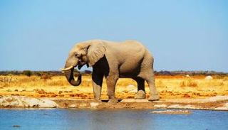 السياحة في بوتسوانا…5 أماكن في رحلة برية لا تنسى