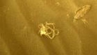 "مكرونة" على المريخ.. صورة جديدة تحير العلماء