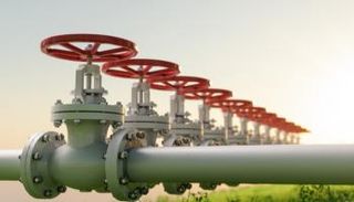 سلاسل الإمدادات.. الهدوء يعود تدريجيا للأسواق.. ولكن!