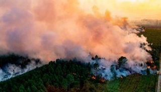 الهجرة من الريف زادت حدة حرائق الغابات