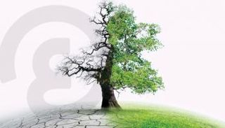 أبرز مظاهر التغير المناخي في 2022 