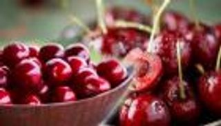 الكرز التركي يغزو أسواق روسيا.. موسكو الأكثر استيرادا