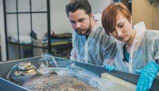  مارزينا أواريك زيلكي وفويتشخ إجسموند قائد مشروع المومياوات بوارسو