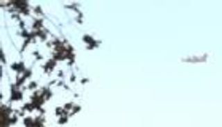 تكاتفت الأيادي.. حرائق الغابات تعزز تضامن المغاربة وتآزرهم