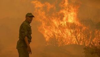 أحد أفراد فرق الإطفاء خلال حريق غابوي - أرشيفية