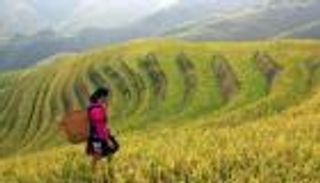 مبادرة فارم.. محاولة أوروبية لتخليص العالم من أزمة الغذاء