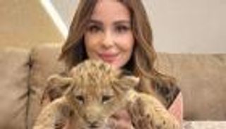 أسد كارول سماحة يورطها مع القوانين المصرية.. ما القصة؟