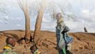 "فارم" مصطلح العصر.. هل تسهم الصين في عالم بلا جوع؟