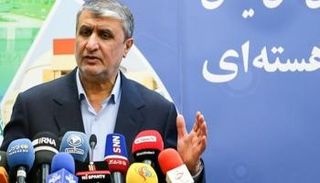 رئيس منظمة الطاقة الذرية الإيرانية محمد إسلامي