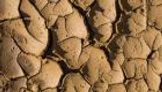 بريطانيا تشهد الشهر الأكثر جفافاً منذ 111 عاماً