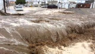 سيول في إيران