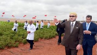 العاهل المغربي الملك محمد السادس يتفقد بعض المشاريع الفلاحية - أرشيفية