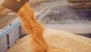 سلاسل الإمدادات.. أزمات التوريد تدفع اقتصادات عالمية للتكتل