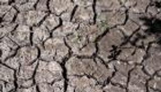 وسط موجة حر ثالثة.. باريس تعلن "التأهب" لمواجهة الجفاف