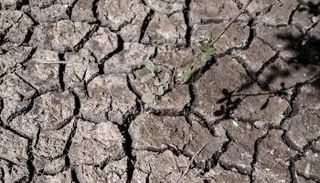 يوليو الماضي هو الأشد جفافا في باريس