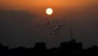 هل تدخل "حماس" على خط المواجهة.. اليوم أم غدا؟