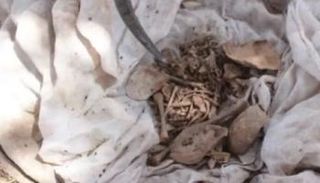 رفات الطفل المعثور عليها في المغرب