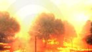 حرائق الغابات تجتاح العالم.. دمار هائل (إنفوجراف)