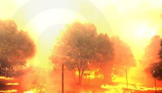 حرائق الغابات تجتاح العالم.. دمار هائل (إنفوجراف)