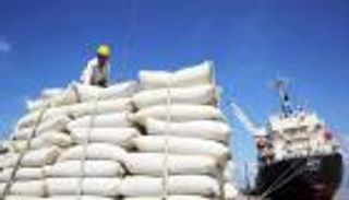 التغير المناخي.. بصمات سلبية على إنتاج الأرز العالمي