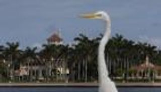 مداهمة مقر ترامب الفاخر.. الأسباب والكواليس