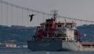 الأمم المتحدة: أول شحنات القمح تغادر موانئ أوكرانيا الأسبوع المقبل