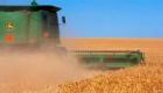 القطار "رينفي" في مهمة تاريخية.. مشروع إسباني لنقل حبوب أوكرانيا