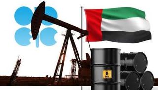 "أوبك": الأنشطة الاقتصادية الإماراتية تواصل نموها القوي خلال 2022