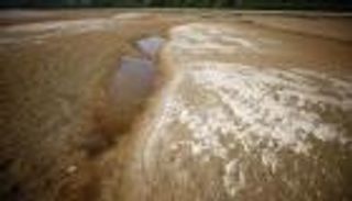 بريطانيا تعلن رسميا حالة الجفاف في عدة مناطق