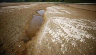 الجفاف ضرب أجزاء واسعة من أوروبا