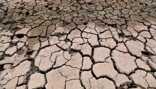 الجفاف يضرب أهوار العراق