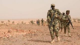 عناصر من الجيش التشادي (أرشيفية)