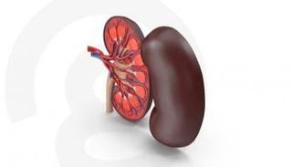 عادات سيئة تضر الكلى 