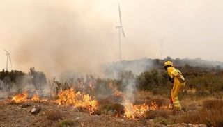 جانب من حريق الغابات في فينسيا الإسبانية